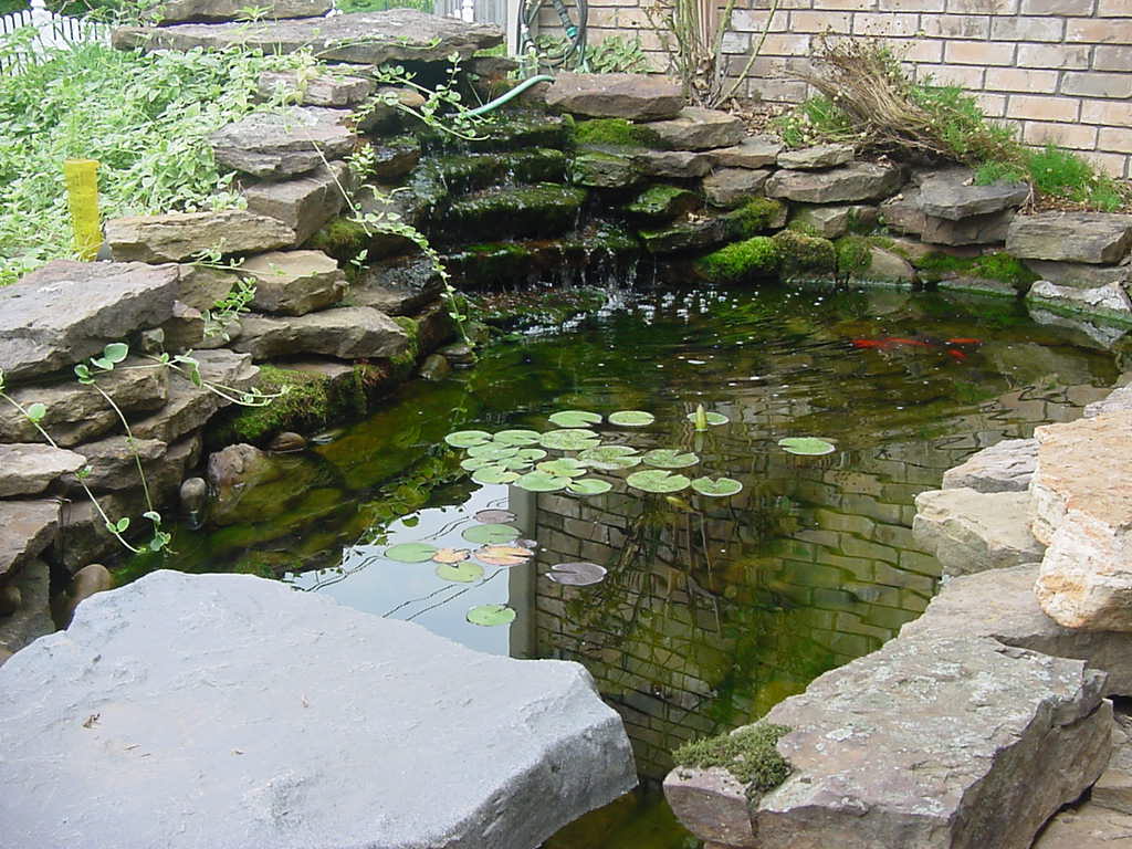 Waterfall And Decoration Tiered Waterfall And Natural Rock Decoration Feat Cool Garden Pond With Water Lilies Idea Plus  Fun Koi Fish Decoration Wonderful Garden Pond Ideas With Koi Fish