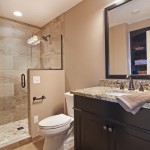In Shower In Walk In Shower Beside Closet In Basement Bathroom Ideas With Mirror Under Wall Lamp Basement Basement Bathroom Ideas With Spacious Room Designs