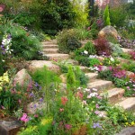 Rock Garden Feat Wonderful Rock Garden With Stairs Feat Admirable Mismatching Flowers And Little Plants Also Grasses Garden  Awesome Gardens From Rock Garden Ideas 