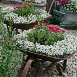 Outdoor Garden On Wonderful Outdoor Garden Design Ideas On Metal Bucket Stand On Pebbels Displayed White And Pink Flowers Outdoor Beautiful Backyard Ideas Prettifying Your Outdoor Space